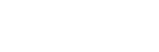 the shoe company